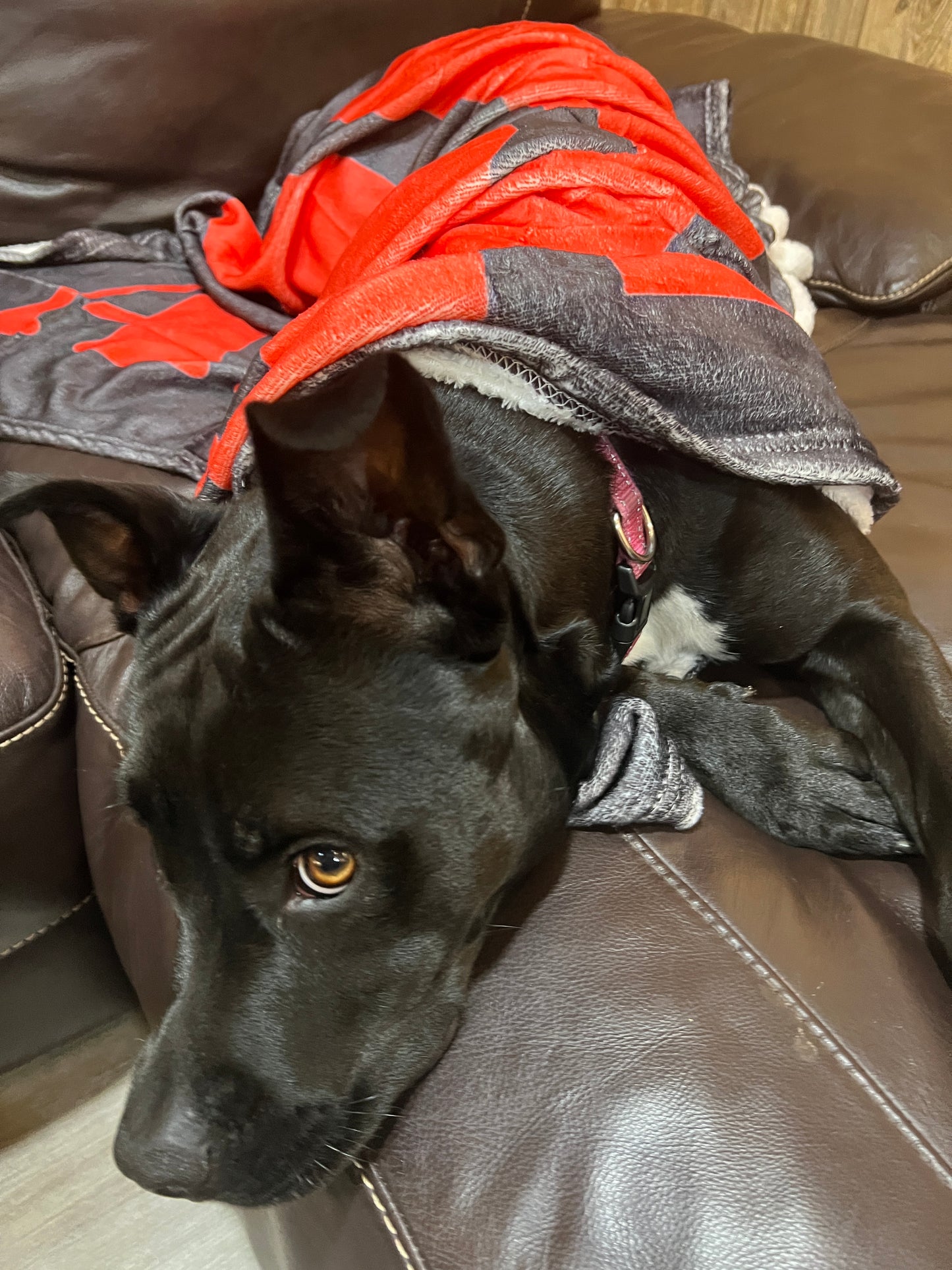 Stone Washed Black / Red Fleece Bubba Army Blanket / Throw super soft, warm 6’x4’ cozy MUST HAVE!