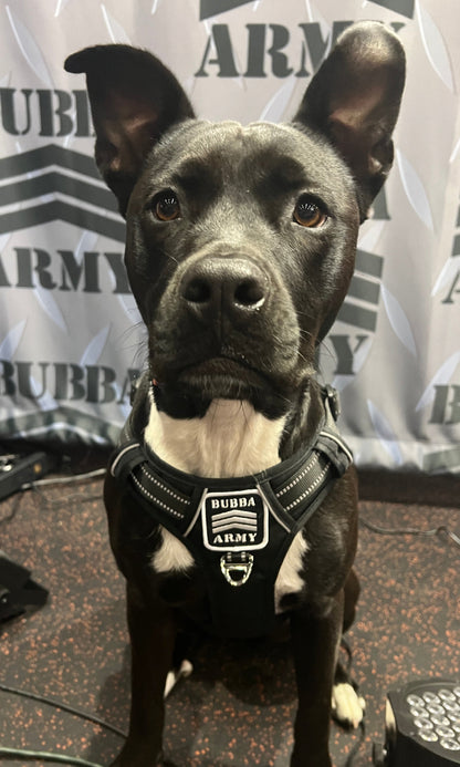 Custom Bubba Army Dog Harness S,M&L - Limited production